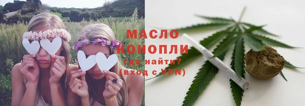 дживик Надым