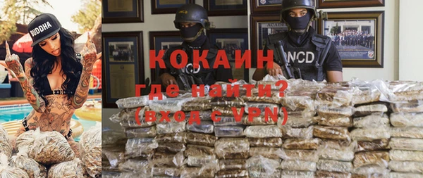 дживик Надым