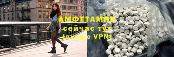 дживик Надым