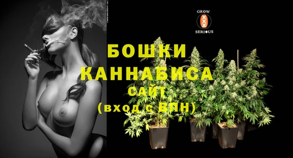 дживик Надым